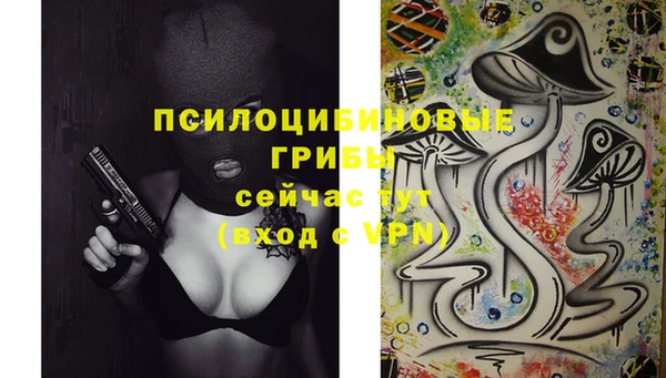хмурый Абинск