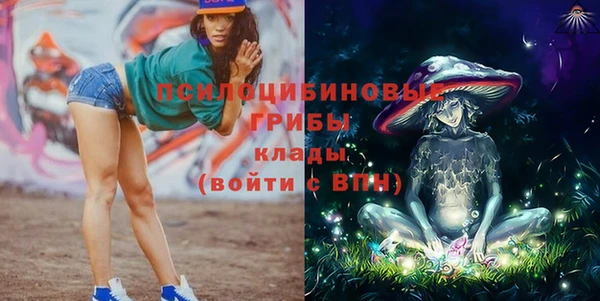 хмурый Абинск