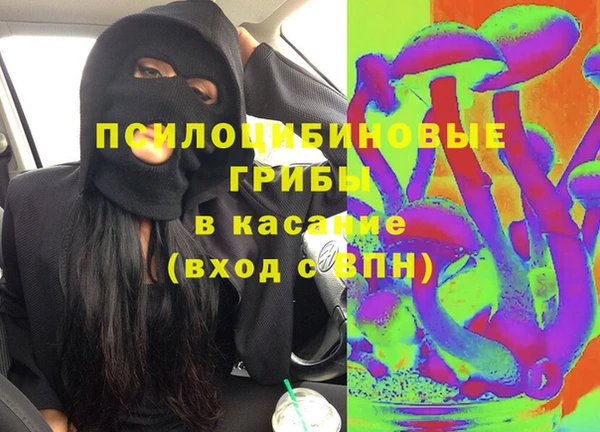 хмурый Абинск