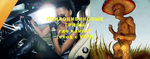хмурый Абинск