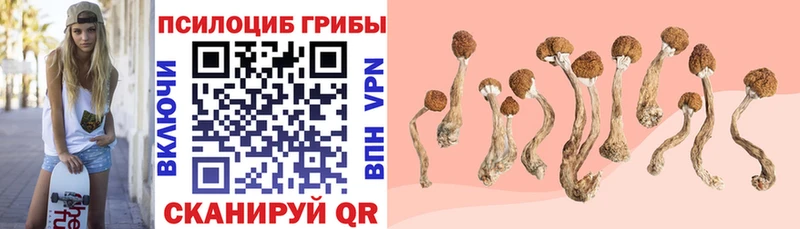 Галлюциногенные грибы GOLDEN TEACHER где продают наркотики Великий Новгород